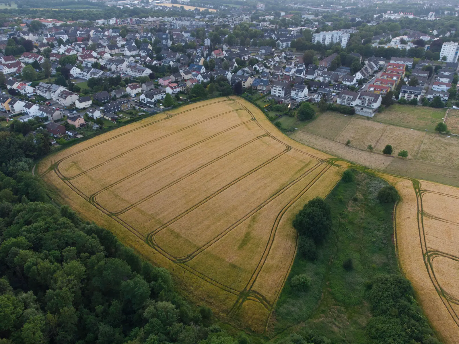 Luftbild eines Wohngebiets am Rand eines Getreidefelds mit Wald